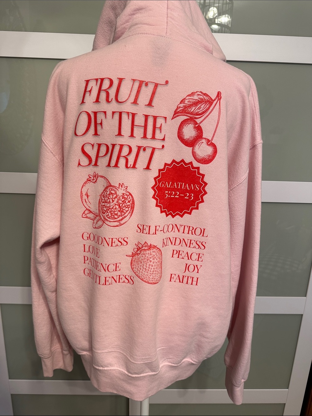 Fruit of the Spirit Pink Graphic Hoodie Sweatshirt